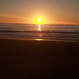 Meet your Posher, Theresa